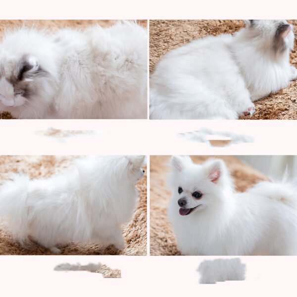 Comb Brush Dog Supplies